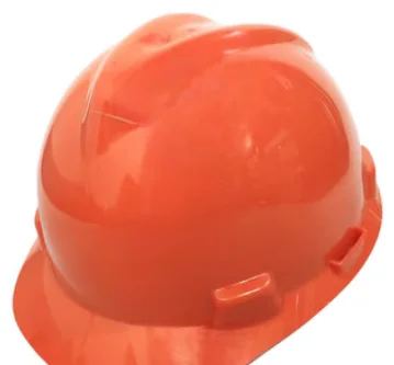 HEAD PROTECTION