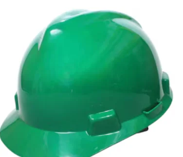 HEAD PROTECTION