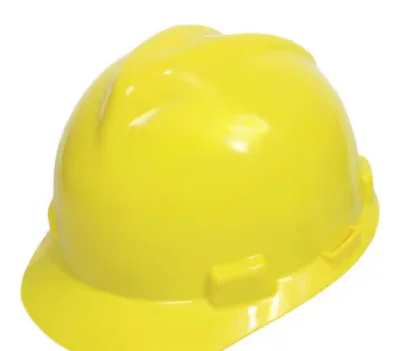 HEAD PROTECTION