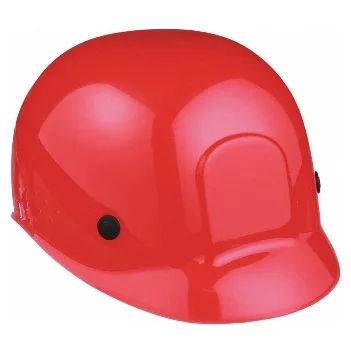 HEAD PROTECTION